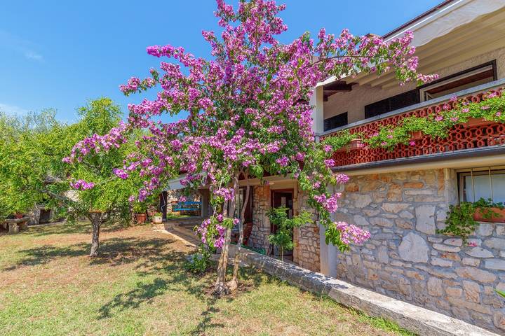Gîte pour 2 personnes, avec balcon/terrasse à Poreč - 2