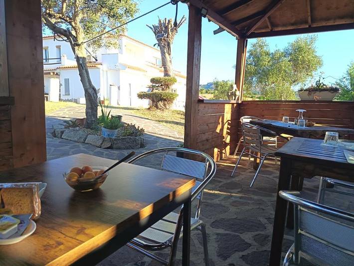 Maison d’hôte pour 2 personnes, avec vue et jardin, animaux acceptés à Arzachena - 4