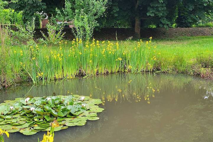 Location de vacances pour 5 personnes à Bacqueville-en-Caux - 4
