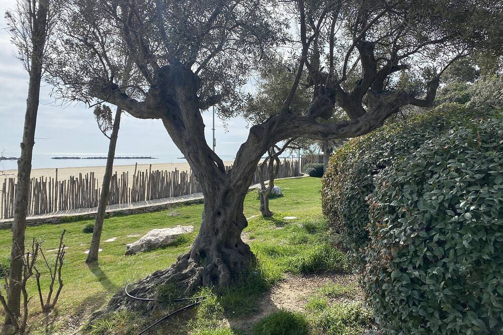 Entire apartment, Sea Front Apartment in Riviera delle Palme
