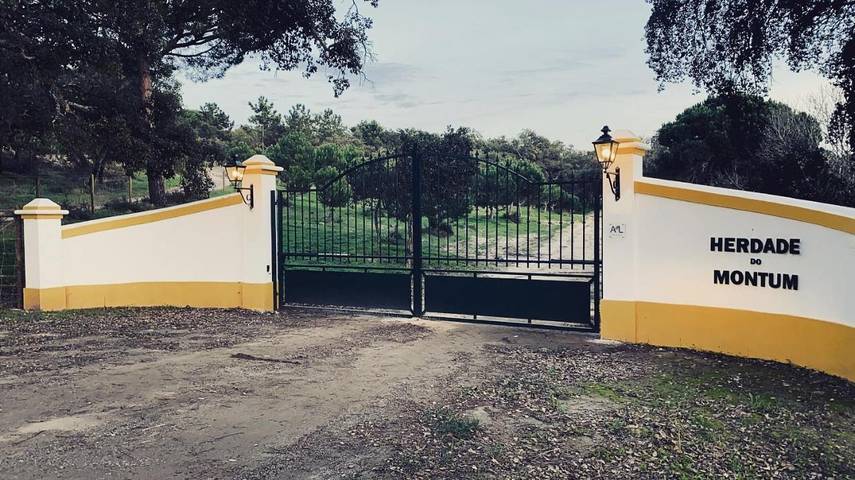 Casa rural para 2 personas, con jacuzzi y jardín además de piscina para niños y piscina en Alentejo - 4
