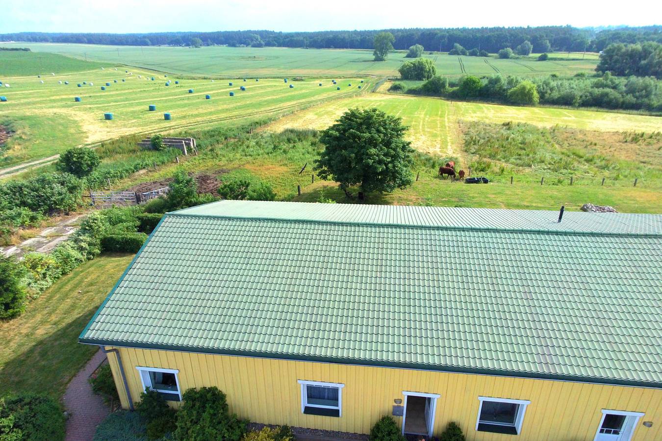 Ganze Ferienwohnung, Ferienwohnung Weideblick auf dem Bauernhof am Schweriner See in Bad Kleinen, Nordwestmecklenburg (Wismar und Umgebung)