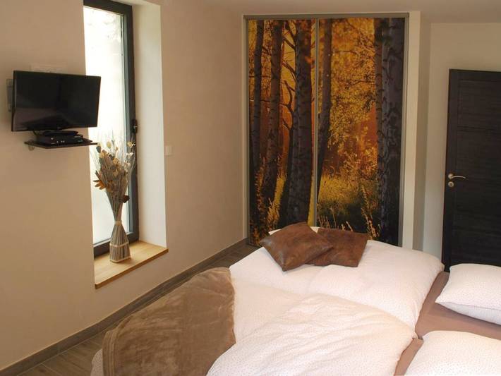 Hôtel pour 2 personnes, avec vue ainsi que sauna et terrasse, animaux acceptés à Saint-Pierre-d'Entremont - 4