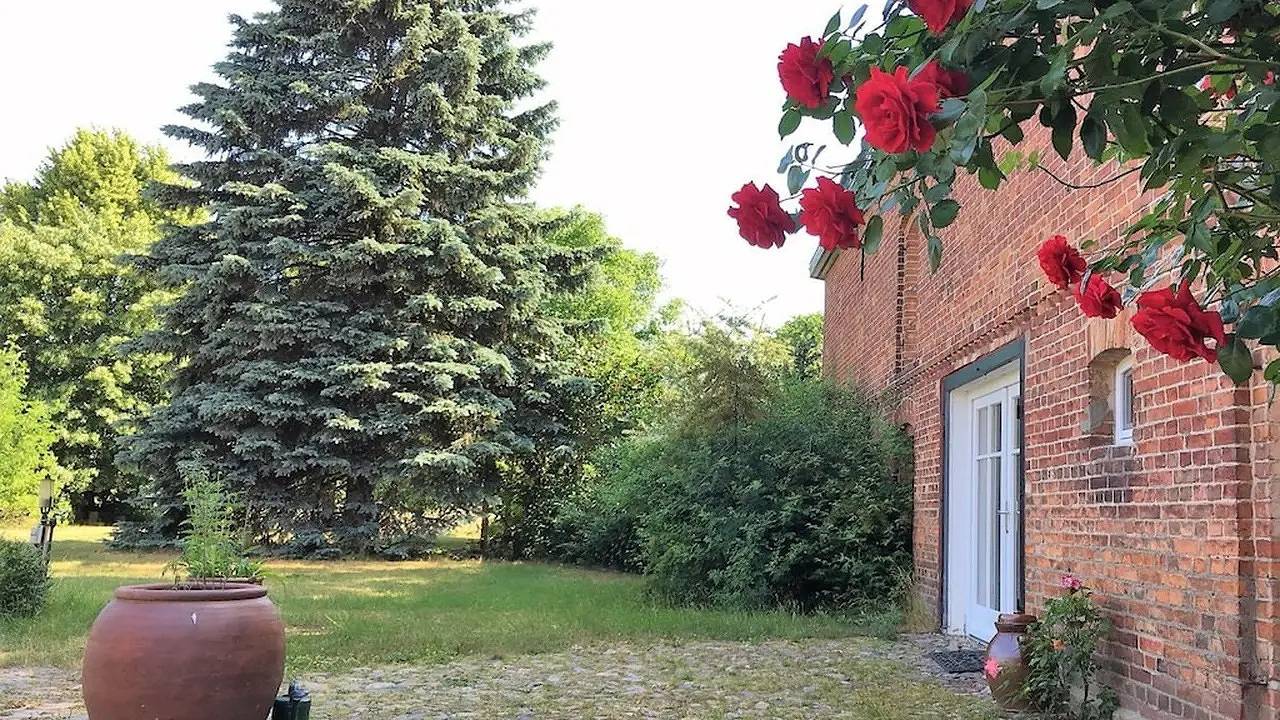 Ferienhaus für 8 Personen (180 m²) in Buchholz (Müritz) in Buchholz, Müritz