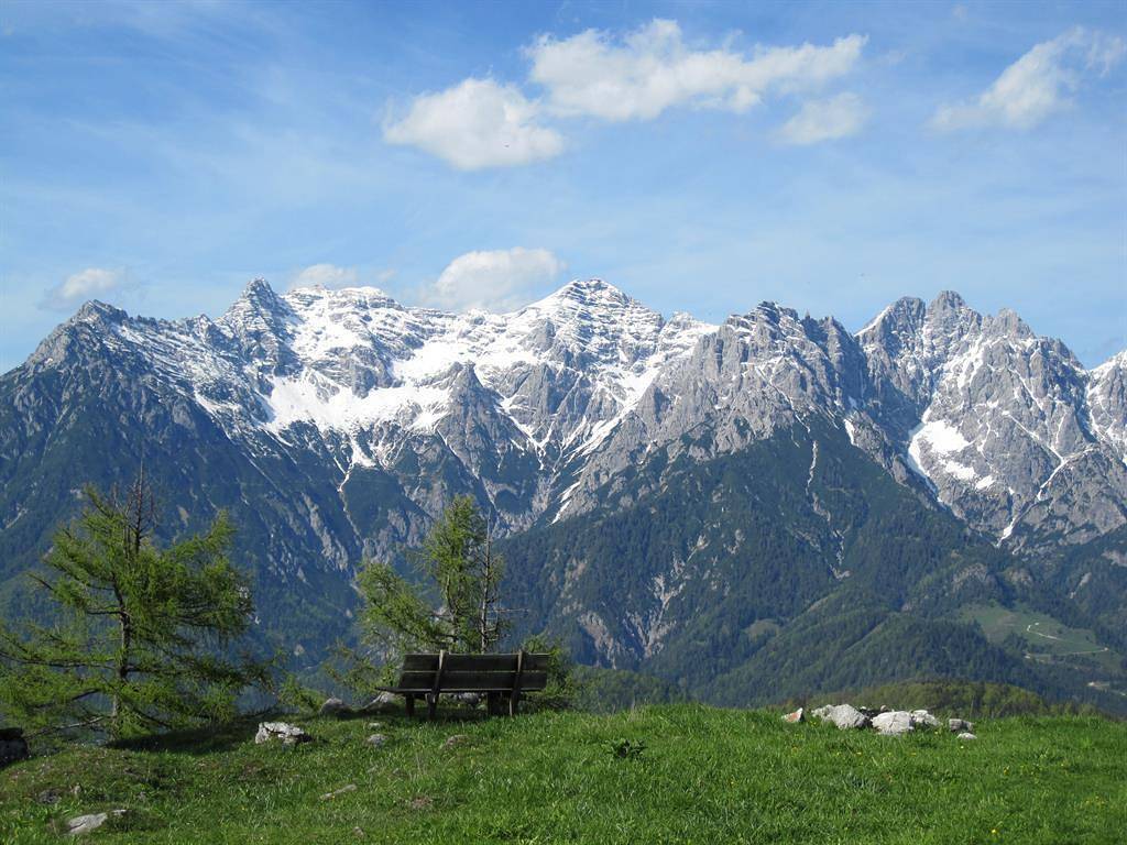 Geheel vakantieappartement, Ferienwohnung Zimmermeister in Pfaffenschwendt, Fieberbrunn