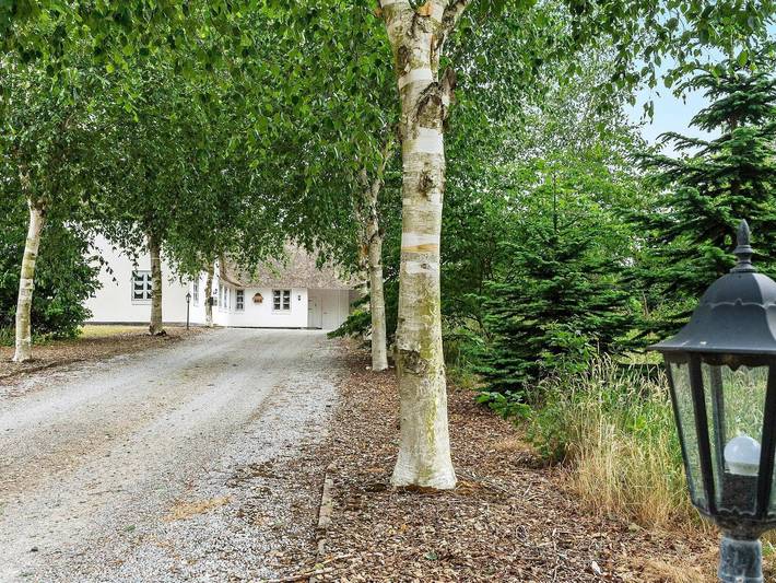 Ferienhaus für 18 Personen, mit Garten und Terrasse, mit Haustier in Ostjütland - 3