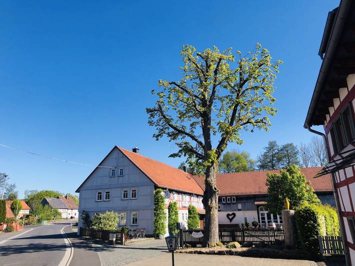 Hotel Restaurant Landgasthof Deutsches Haus - Doppelzimmer mit Frühstück in Bermuthshain, Grebenhain