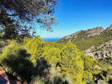 Villa in Sóller, Serra de Tramuntana für 4 