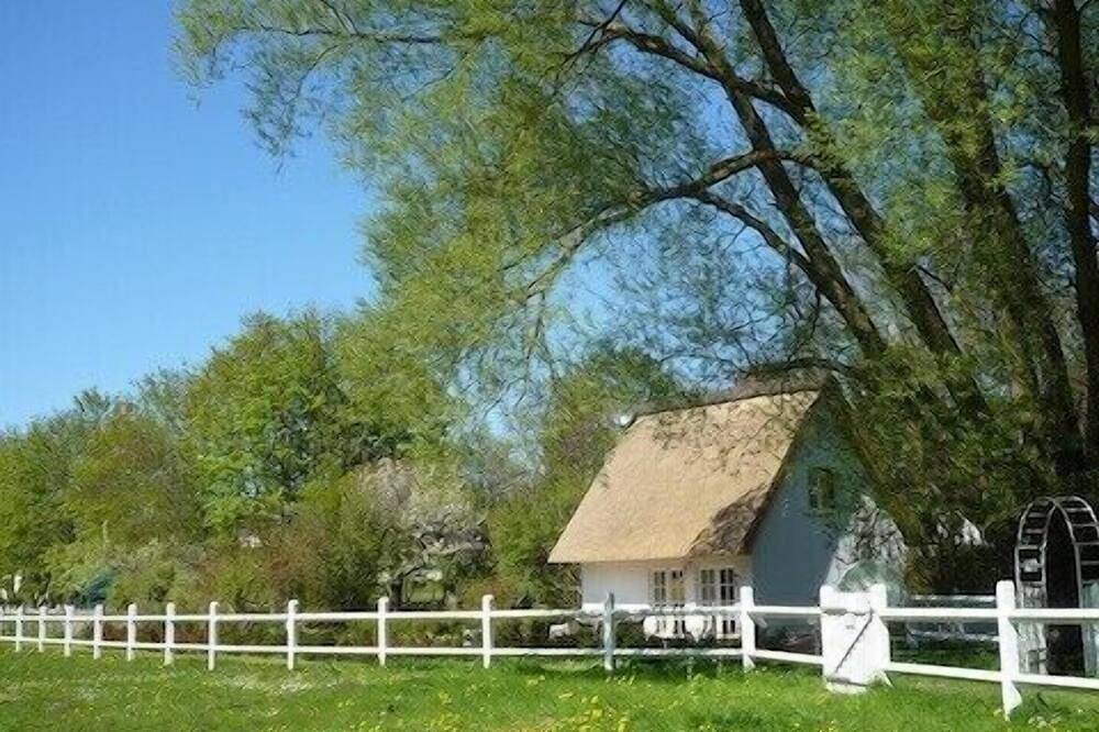 10 Minuten vom Strand, Reetdachhaus mit Spa: Sauna & Whirlpool in Wittenbeck, Rostock und Umgebung