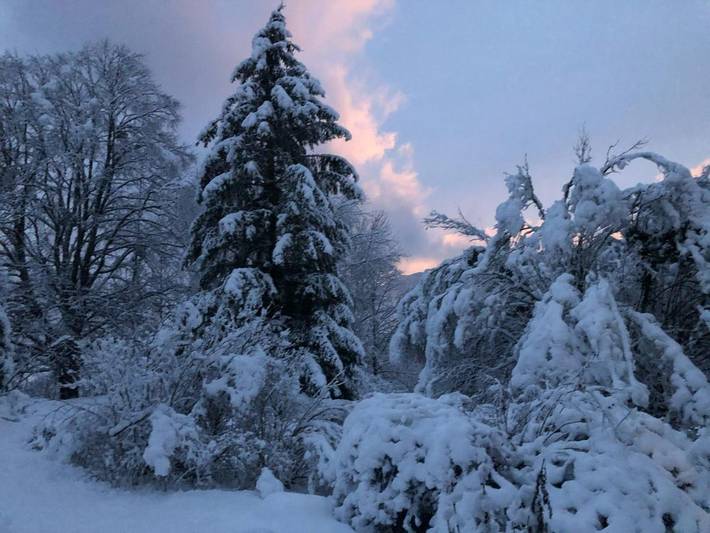 Location de vacances pour 14 personnes, avec jardin et vue à Chézery-Forens - 2