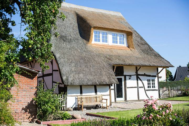 Ferienhaus für 4 Personen, mit Terrasse und Garten sowie Pool und Sauna in Riepsdorf