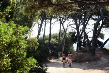 Camping pour 6 Personnes dans Hyeres, Région de Toulon, Photo 4