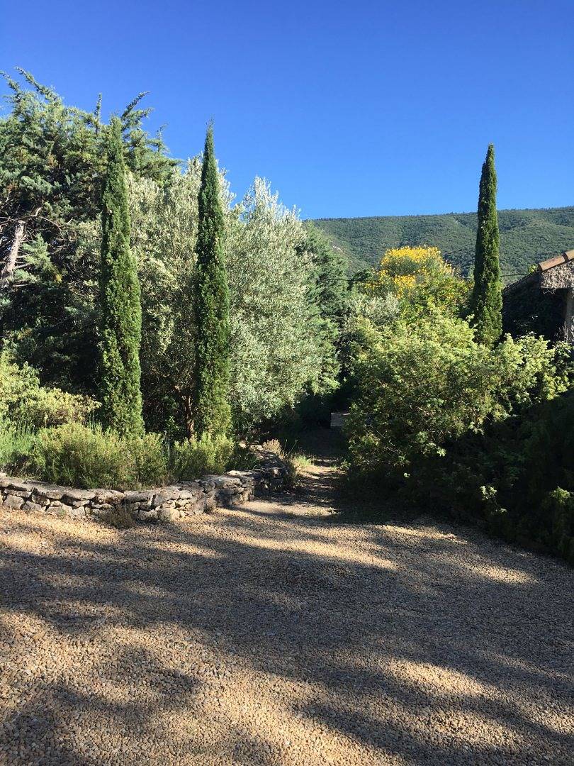 Chambre d'hôtes face à la Forêt de Cèdres - Chambre in Lacoste, Parc naturel régional du Luberon