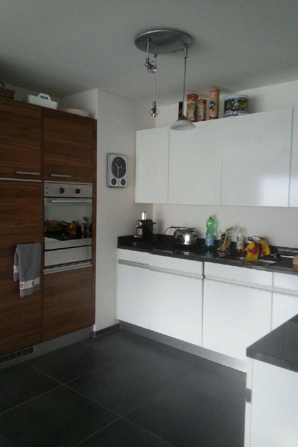 Ganze Wohnung, Wohnung an Traumlage mit Tessinerflair in Piazzogna, Gambarogno