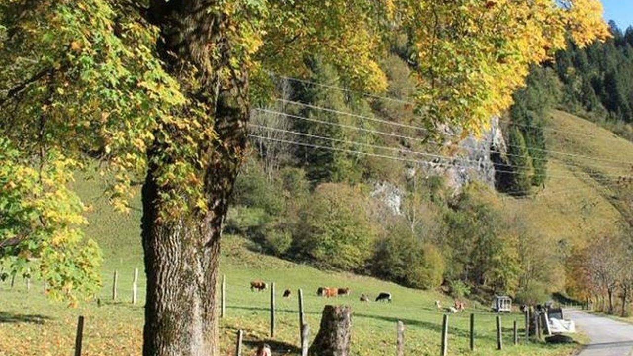 Ganze Ferienwohnung, Ferienwohnung für 2 Personen (30 m²) in Dorfgastein in Dorfgastein, Ski Amadé