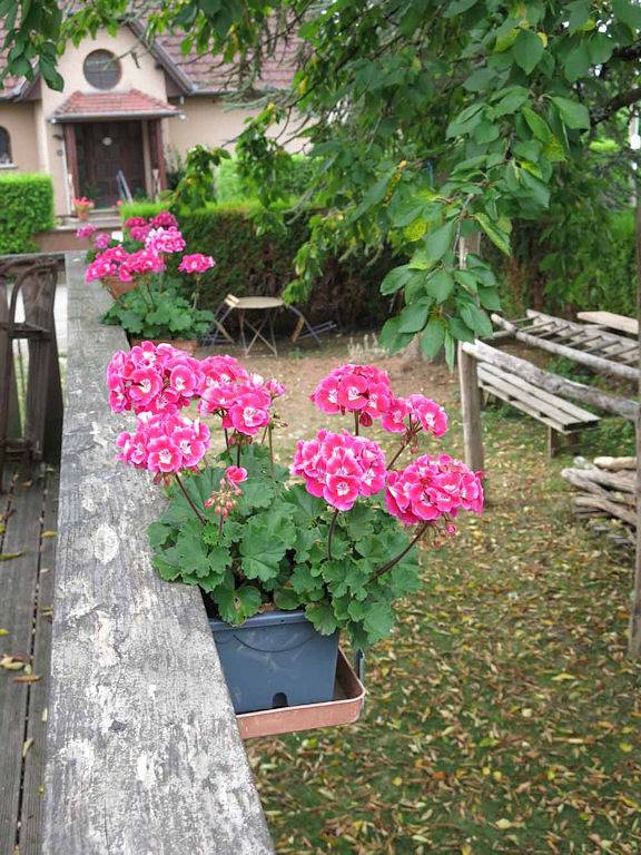 Gîte la Maison à Côté in Carspach, Région d'Altkirch