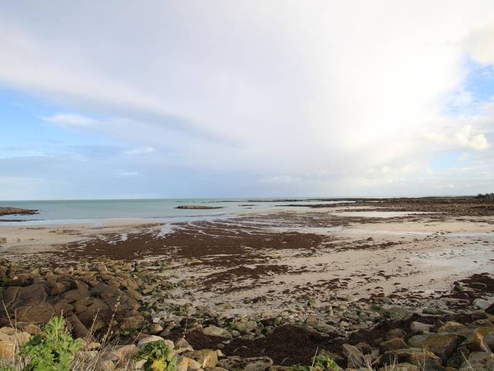 Gîte pour 6 personnes, avec jardin à Montfarville - 3