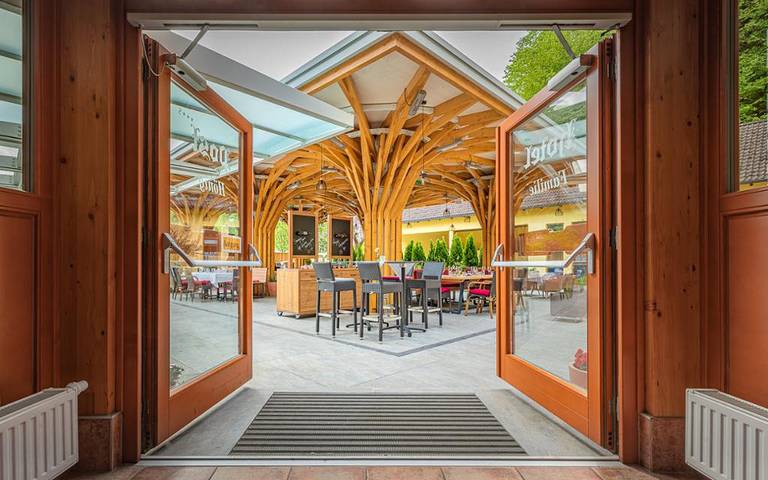 Hotel für 2 Personen, mit Balkon und Terrasse sowie Sauna in Wiener Alpen in Niederösterreich - 4