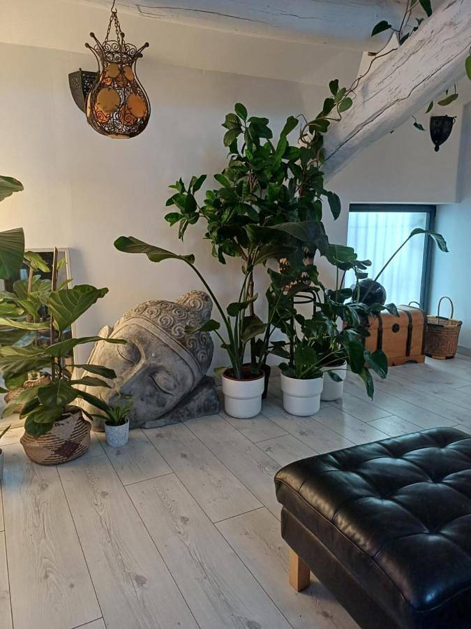 Maison d’hôte pour 2 personnes, avec vue et terrasse, animaux acceptés dans le Gard - 4