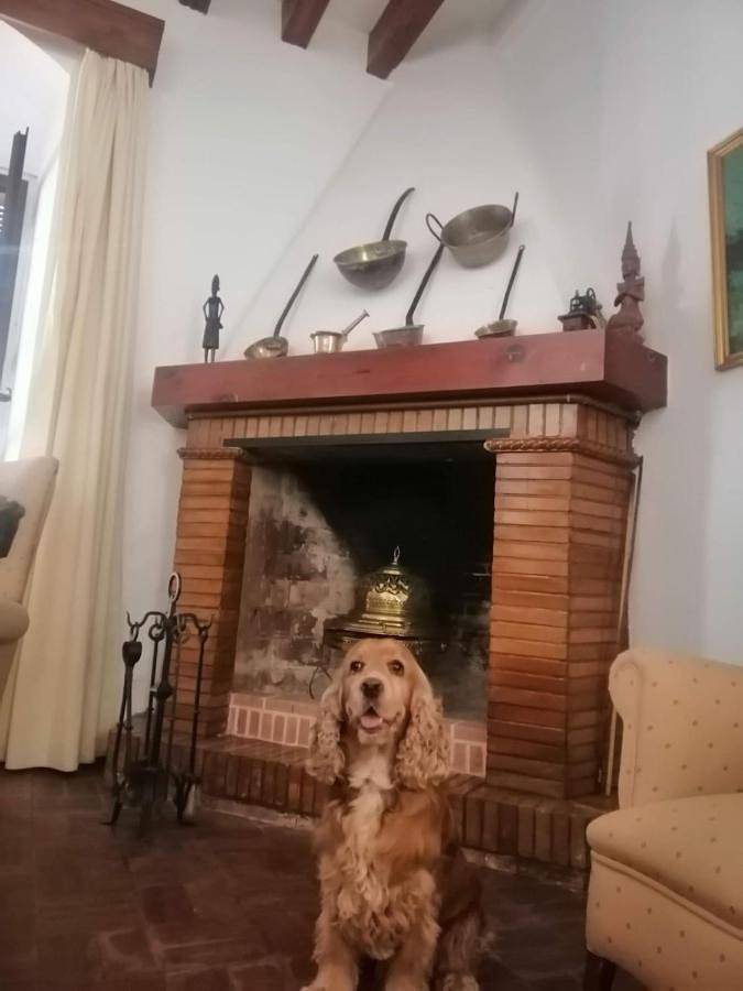 Location de vacances pour 12 personnes, avec piscine ainsi que vue et balcon à Montellano - 3