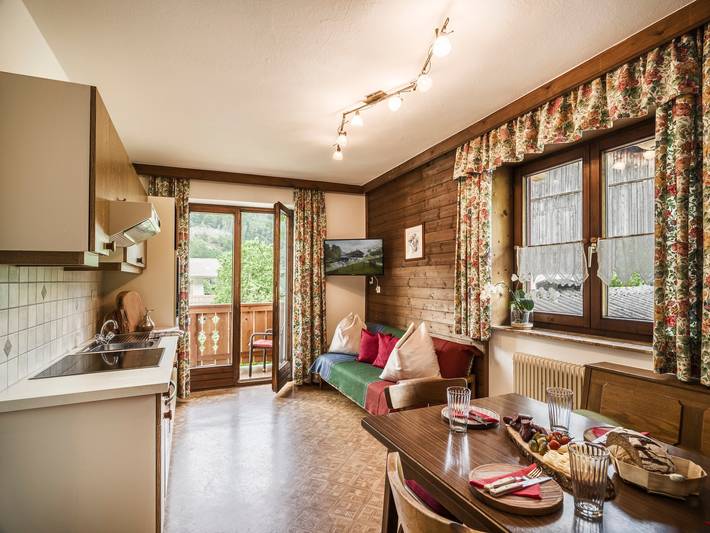 Ferienwohnung für 5 Personen, mit Garten, mit Haustier in Ski Amadé - 2