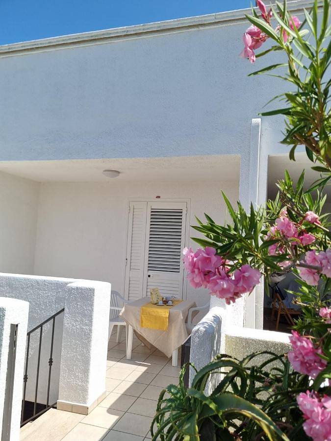 Maison d’hôte pour 2 personnes, avec vue et terrasse, animaux acceptés à Monopoli - 3