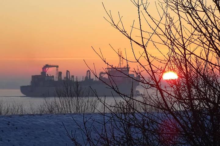 Ferienwohnung für 2 Personen, mit Garten und Terrasse, mit Haustier in Stade - 4