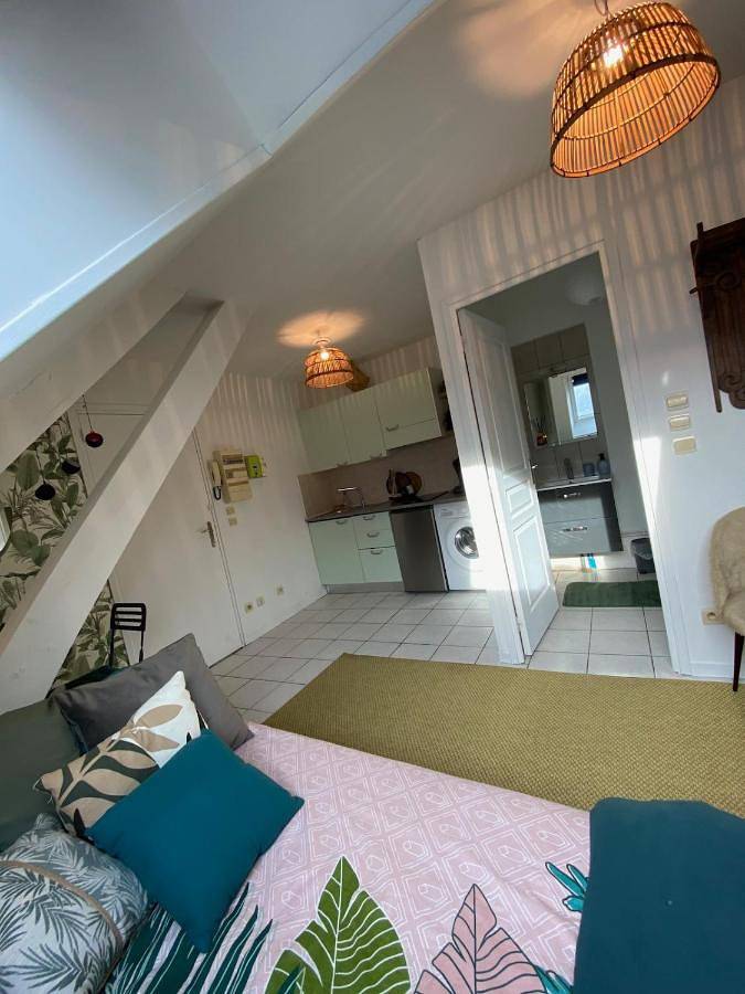Appartement entier, One-Bedroom Apartment in Vierzon, Région de Vierzon