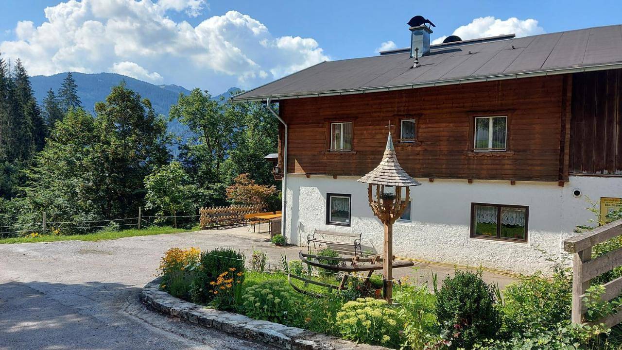 Almhof Grub in Sankt Johann im Pongau, Ski Amadé