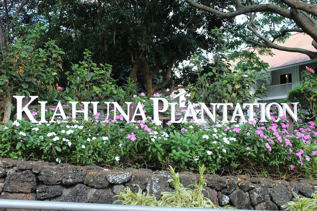 Ganze Wohnung, Kiahuna Plantage Ocean View-nur renoviert, Erdgeschoss, nur wenige Schritte vom Strand entfernt! in Poipu, Koloa