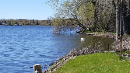 Cabin Rentals And Lodges for 6 Guests in Lake Ontario (Canada), Picture 4