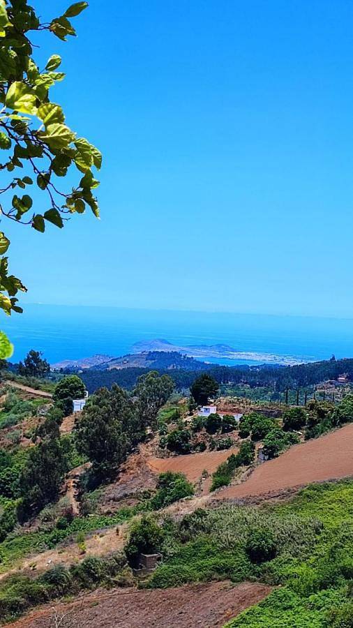 Casa rural para 4 personas, con jardín además de vistas y piscina, Se admiten mascotas en Santa María de Guía de Gran Canaria - 4