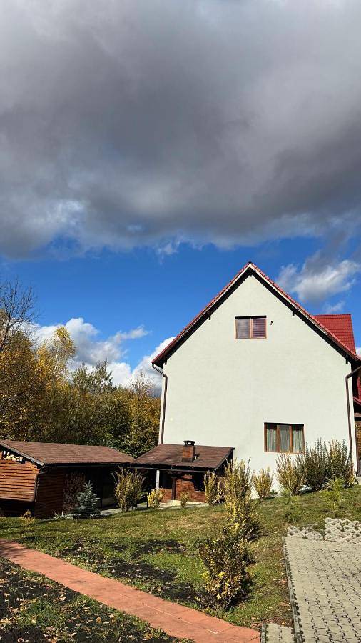 Location de vacances pour 20 personnes, avec jacuzzi et jardin dans Mureș - 3