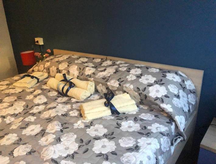 BnB für 3 Personen, mit Haustier in Venedig