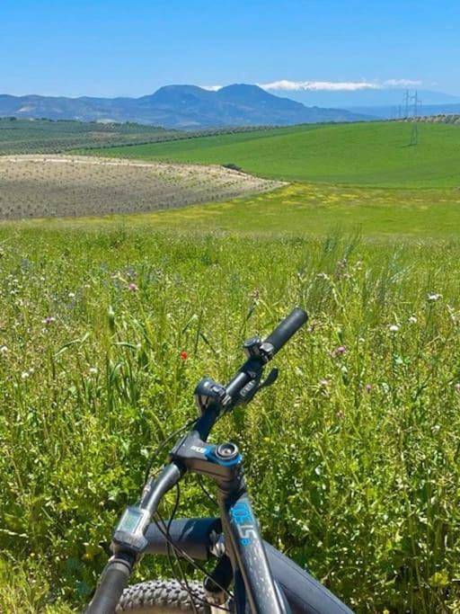 Chalet para 6 personas, con vistas y balcón en Loja - 3