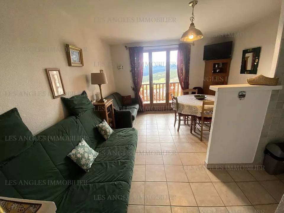 Appartement entier, Charmant appartement de type T2 cabine 4 à 6 personnes, vue sur Le Lac in Les Angles, Parc naturel régional des Pyrénées catalanes