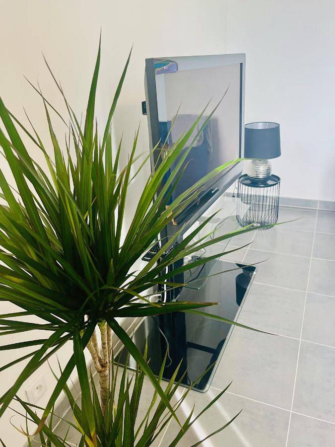 Location de vacances pour 8 personnes, avec jardin ainsi que vue et balcon à Villeneuve-Saint-Denis - 4