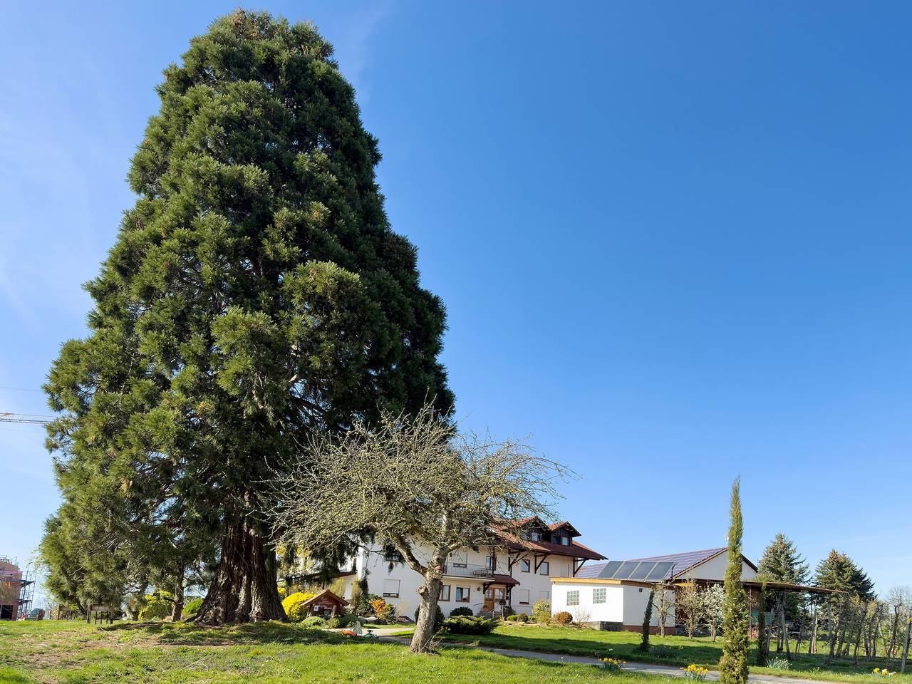 Appartement 'Bergchalet Mirabell - Fewo Weitblick' met uitzicht op de bergen, gedeelde tuin en Wi-Fi, foto 11