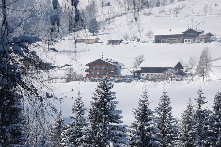 Pension für 4 Personen, mit Ausblick und Garten, kinderfreundlich in der Steiermark - 3