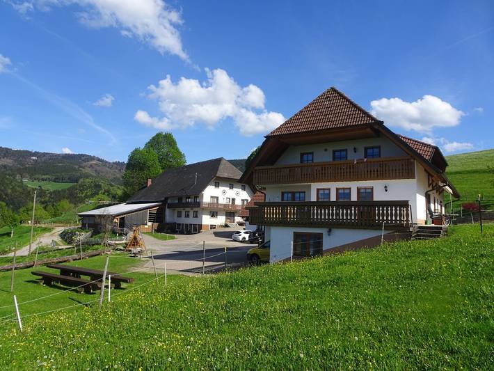 Bauernhof für 4 Personen, mit Sauna und Garten, kinderfreundlich in Suedlicher Schwarzwald - 2