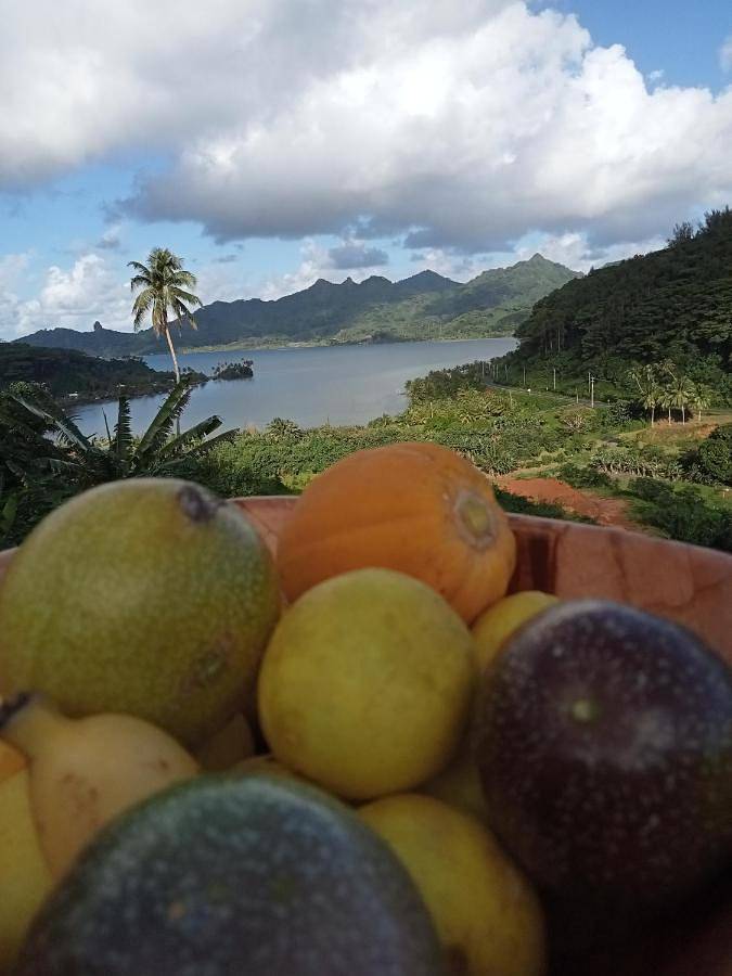 Maison d’hôte pour 3 personnes, avec vue ainsi que terrasse et jardin dans Huahine - 4