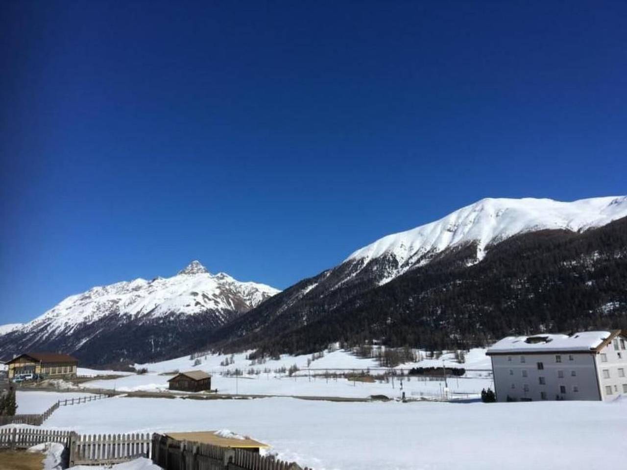 Ganze Wohnung, Chesa Schech in Zuoz, Sankt Moritz