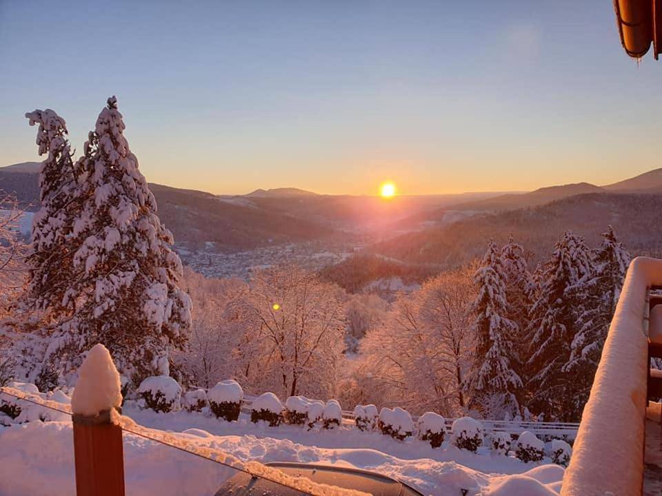 Appartement entier, One-Bedroom Apartment in Fellering, Parc naturel régional des Ballons des Vosges