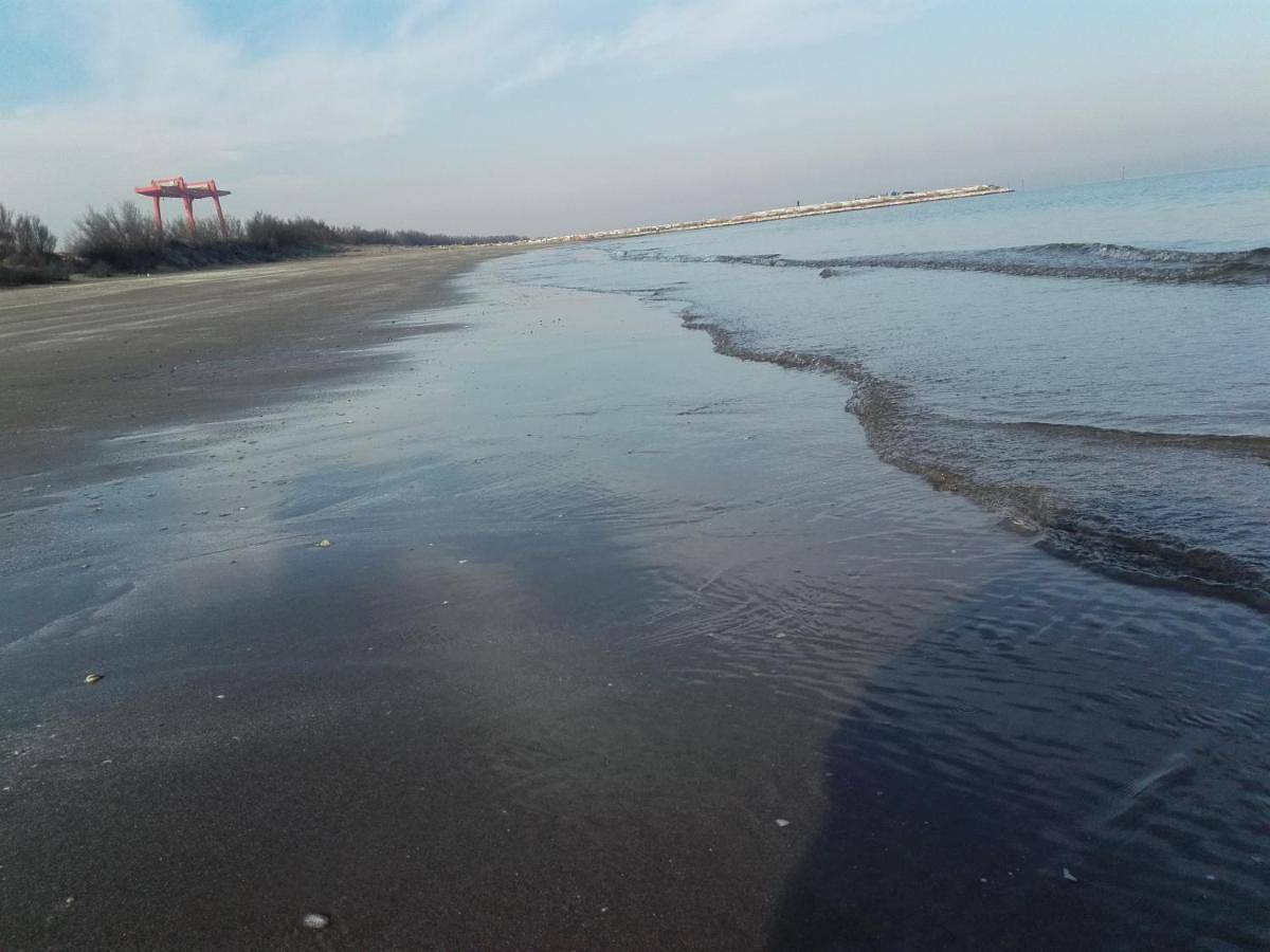 Appartamento intero, Pellestrina Vacanze in Pellestrina, Venezia