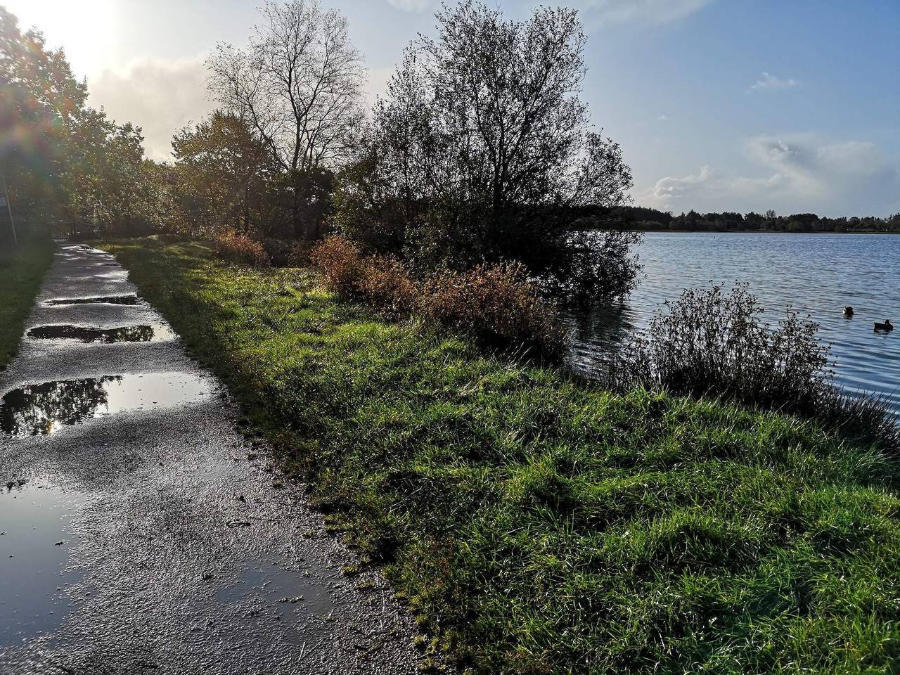 5 Personen Ferienhaus in Ansager in Varde