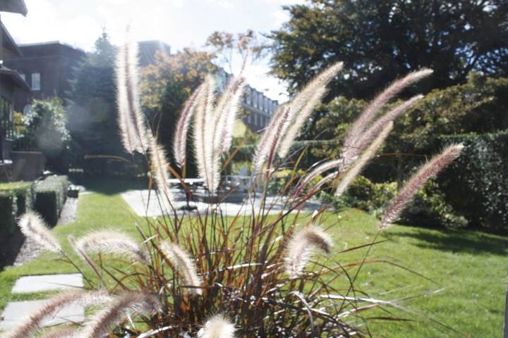 Location de vacances pour 3 personnes, avec jardin et jacuzzi à Newport - 4