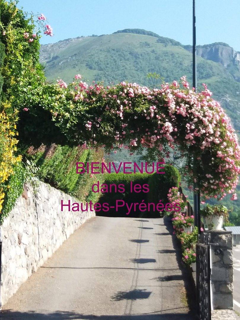 Gîte de vacances au pied des montagnes in Ayzac-Ost, Pyrénées