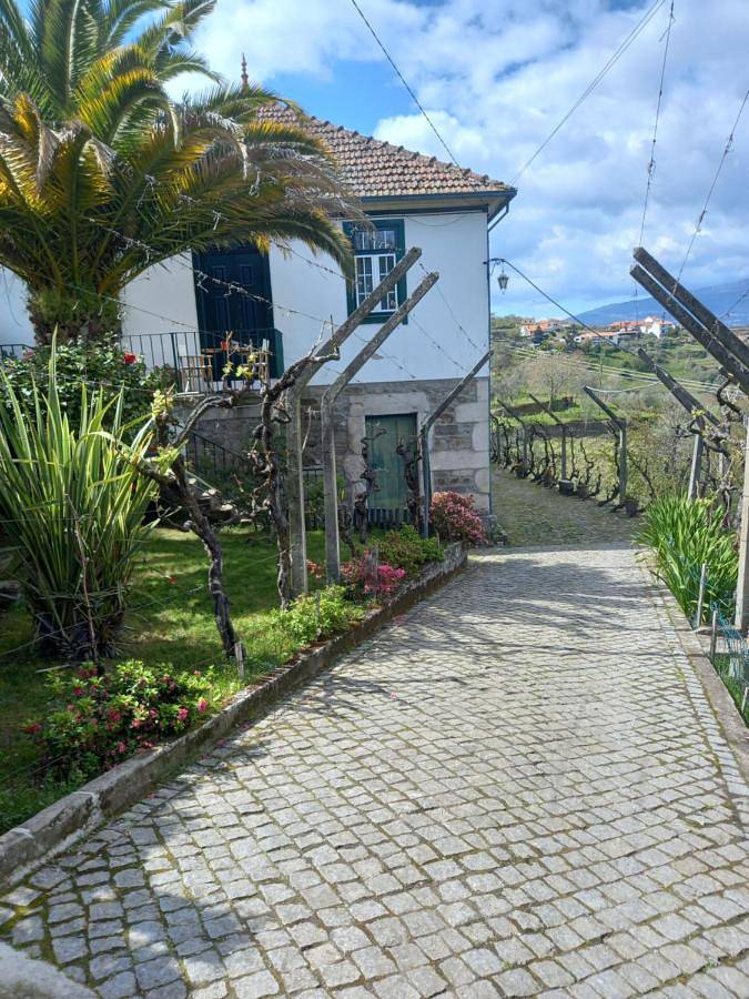 Quinta Casa Do Quintal in Cambres, Vale do Douro
