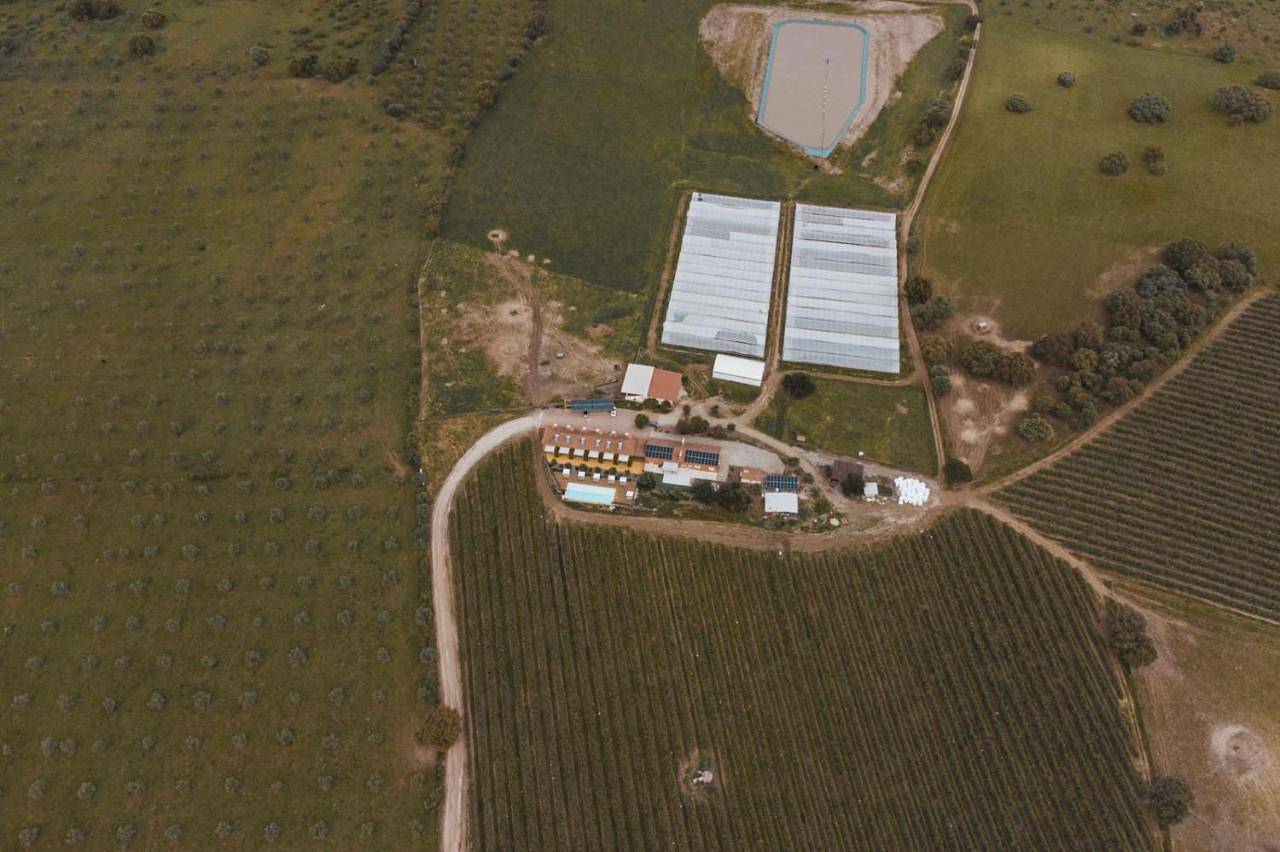 Casinhas de Santo António in Alter do Chão, Distrito de Portalegre
