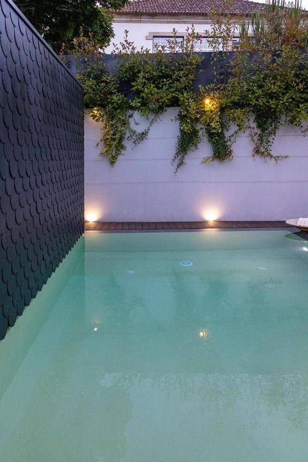 Hôtel pour 2 personnes, avec jardin ainsi que piscine et vue, animaux acceptés à Viseu - 4